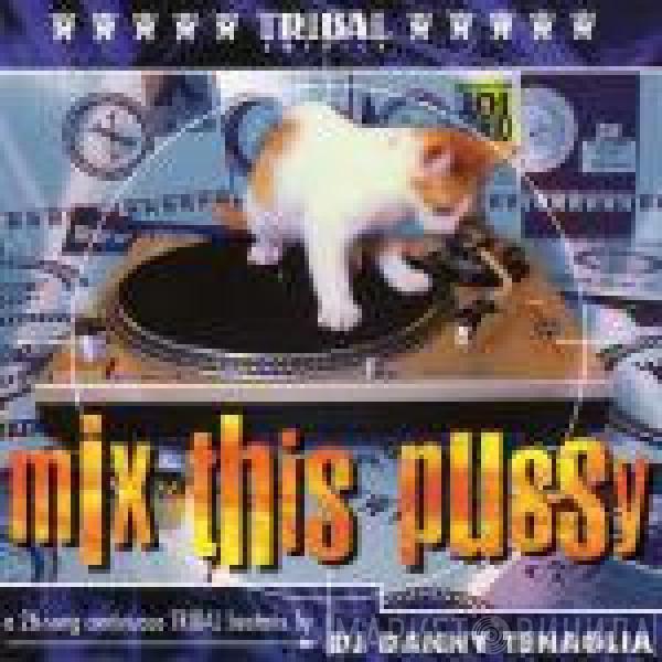 Danny Tenaglia - Mix This Pussy (A 25-Song Continuous TRIBAL Beatmix By DJ Danny Tenaglia)