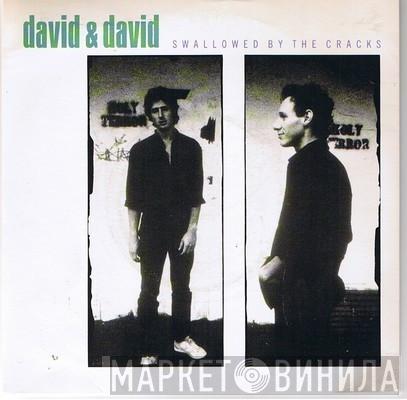David + David - Swallowed By The Cracks
