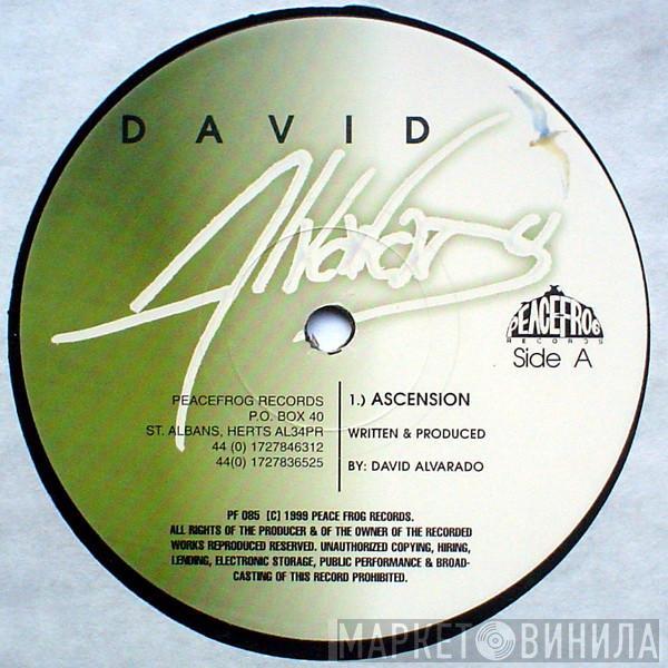 David Alvarado - Ascension