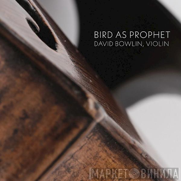 David Bowlin - Bird As Prophet