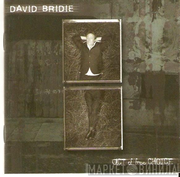 David Bridie - Act Of Free Choice