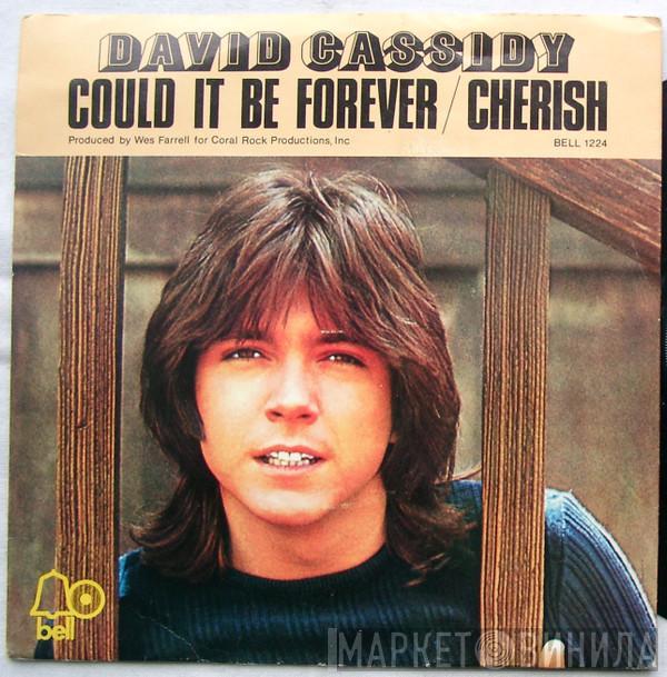  David Cassidy  - Could It Be Forever / Cherish