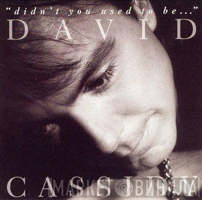  David Cassidy  - "Didn't You Used To Be..."