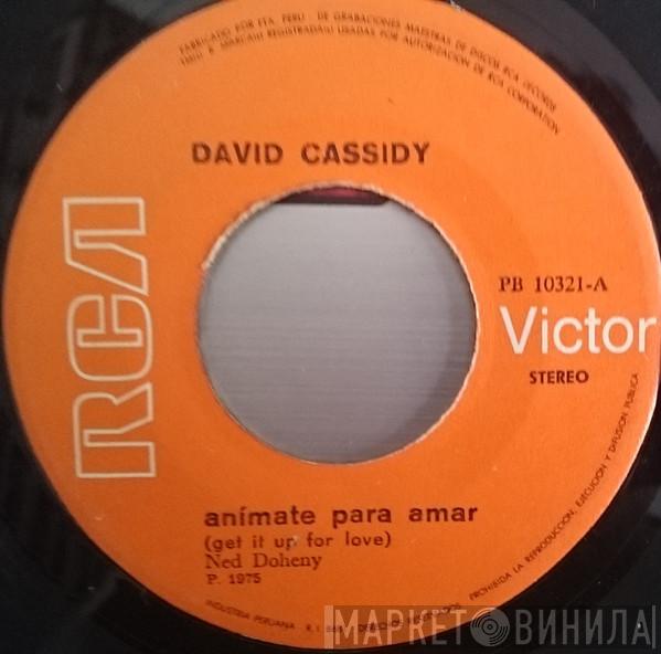  David Cassidy  - Animate Para Amar