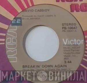  David Cassidy  - Breakin' Down Again