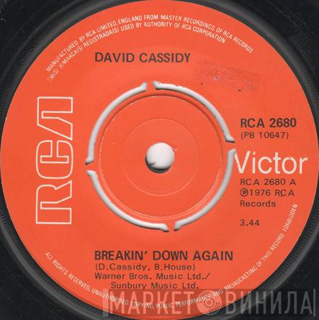 David Cassidy - Breakin' Down Again