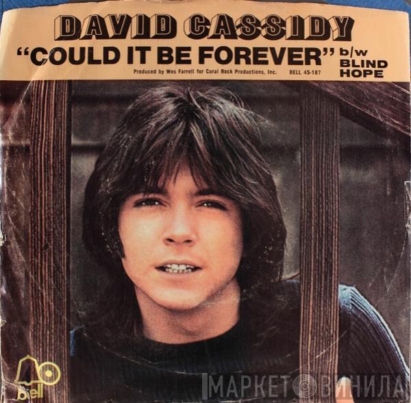  David Cassidy  - Could It Be Forever
