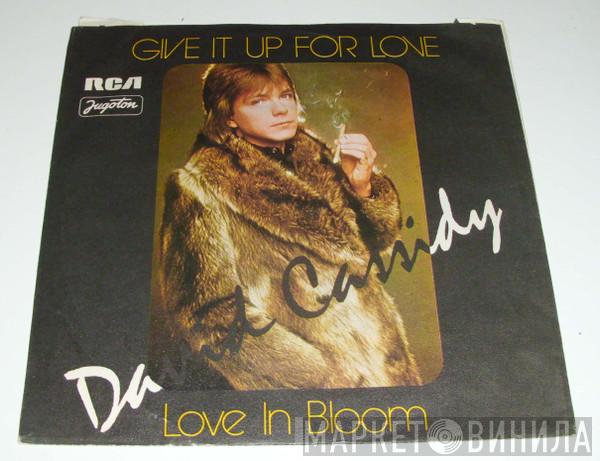  David Cassidy  - Get It Up For Love