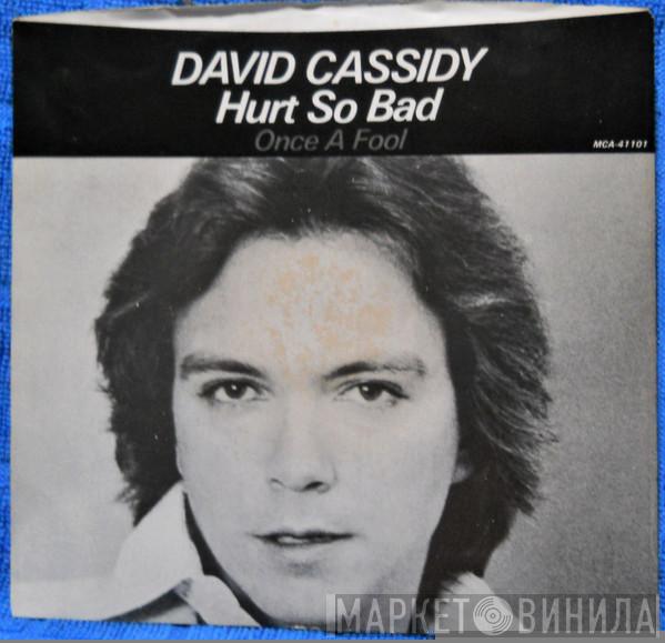  David Cassidy  - Hurt So Bad
