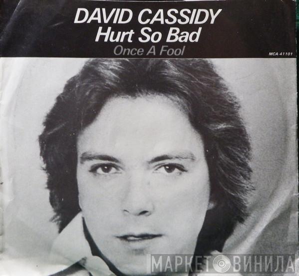  David Cassidy  - Hurt So Bad
