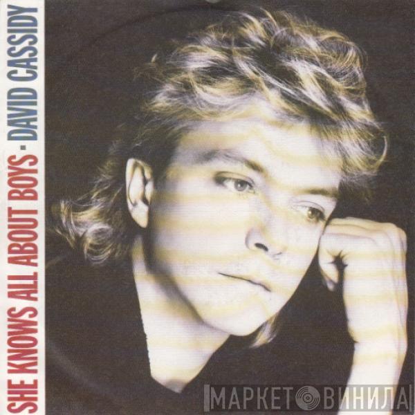  David Cassidy  - She Knows All About Boys