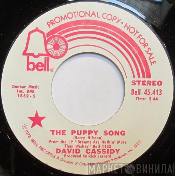  David Cassidy  - The Puppy Song