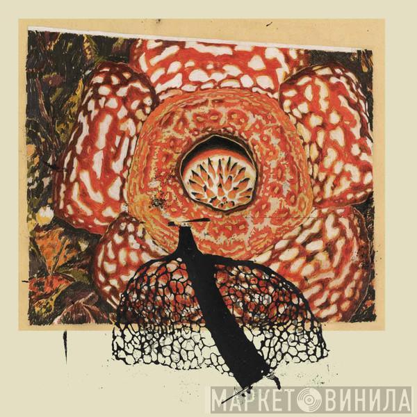 David Fenech, Klimperei - Rainbow De Nuit