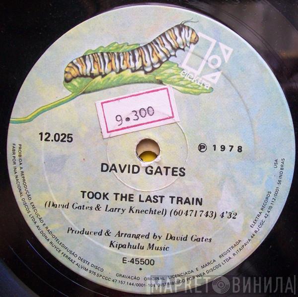  David Gates  - Took The Last Train / Ann
