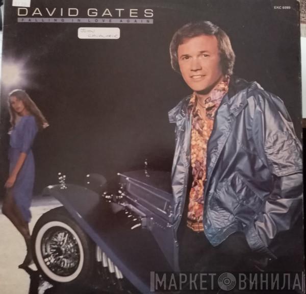 David Gates - Falling In Love Again