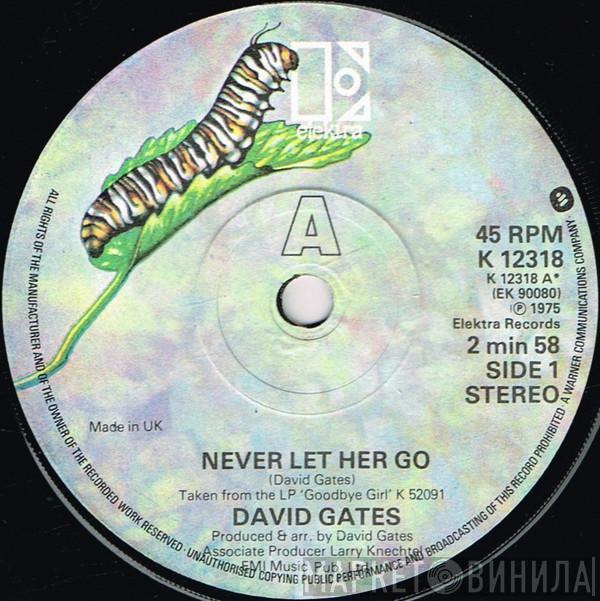 David Gates - Never Let Her Go
