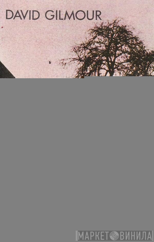  David Gilmour  - David Gilmour