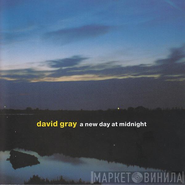  David Gray  - A New Day At Midnight