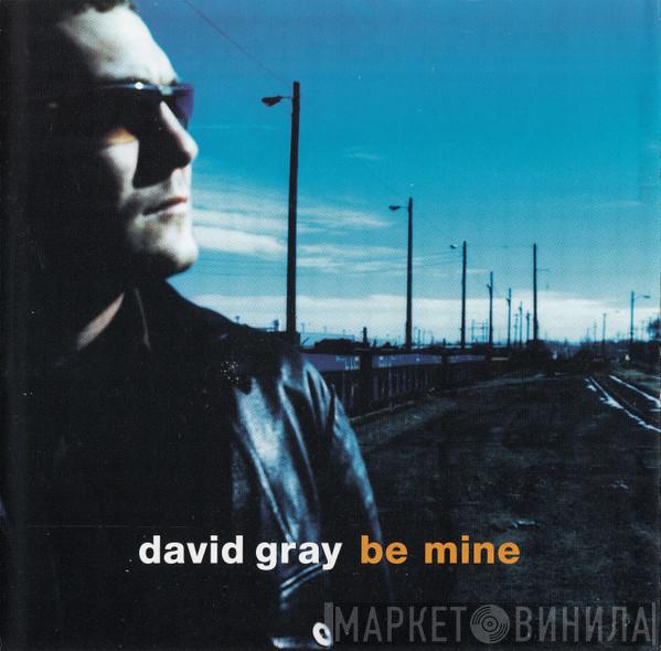 David Gray  - Be Mine