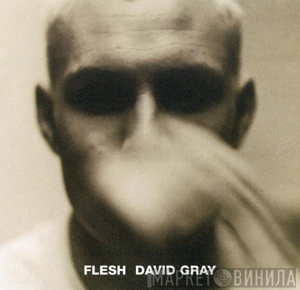  David Gray  - Flesh