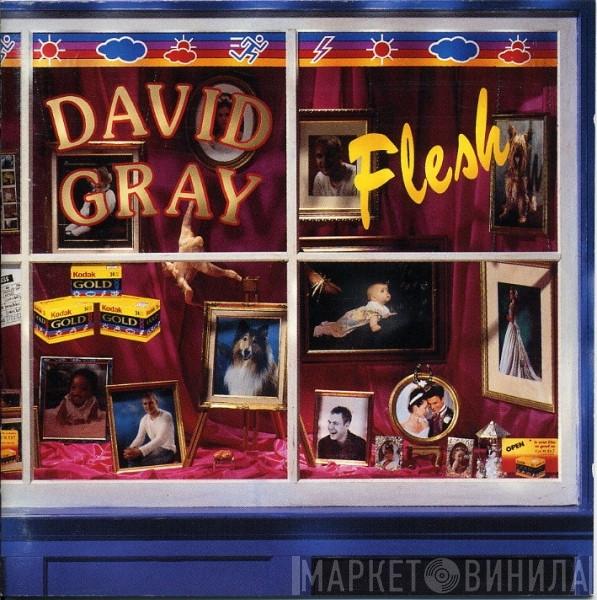  David Gray  - Flesh