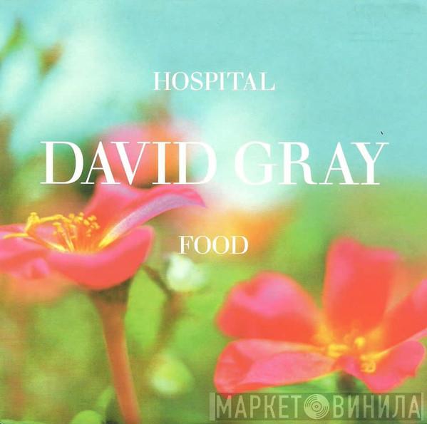 David Gray - Hospital Food