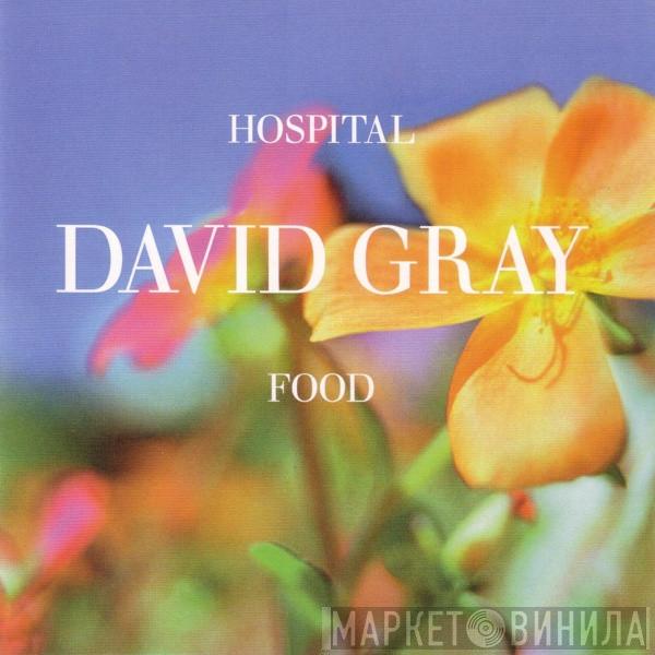 David Gray  - Hospital Food