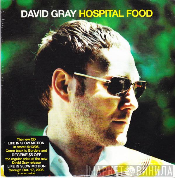  David Gray  - Hospital Food