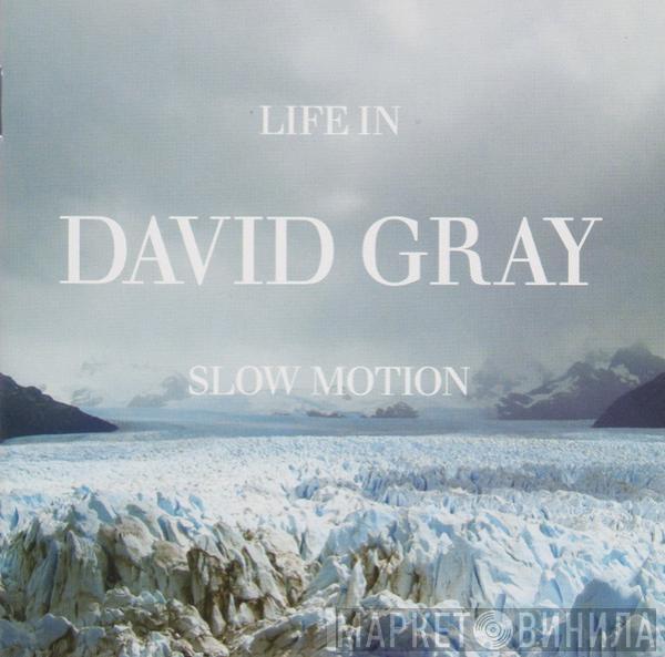 David Gray - Life In Slow Motion
