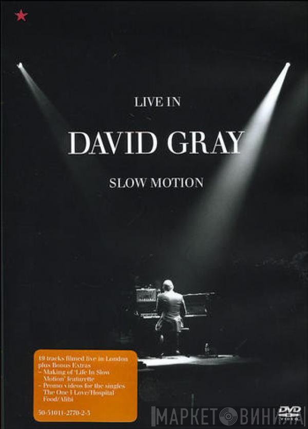  David Gray  - Live In Slow Motion