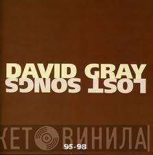 David Gray - Lost Songs 95-98
