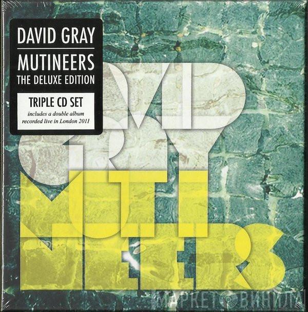  David Gray  - Mutineers