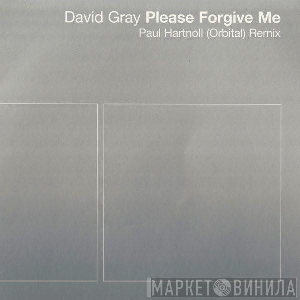  David Gray  - Please Forgive Me (Paul Hartnoll (Orbital) Remixes)