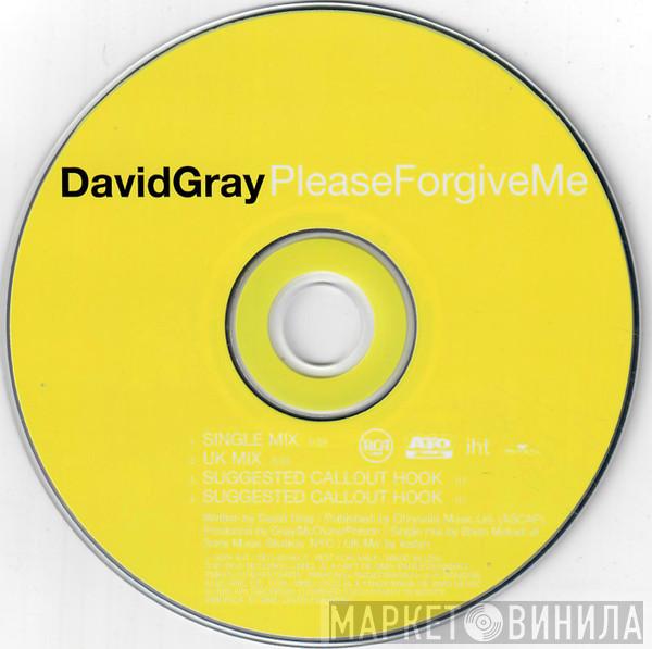  David Gray  - Please Forgive Me