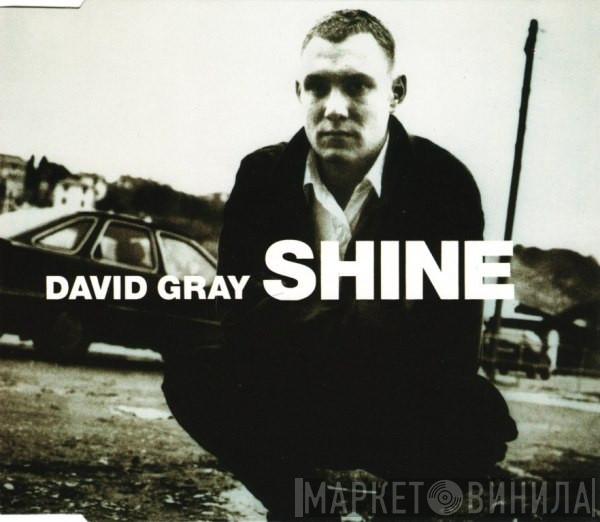  David Gray  - Shine