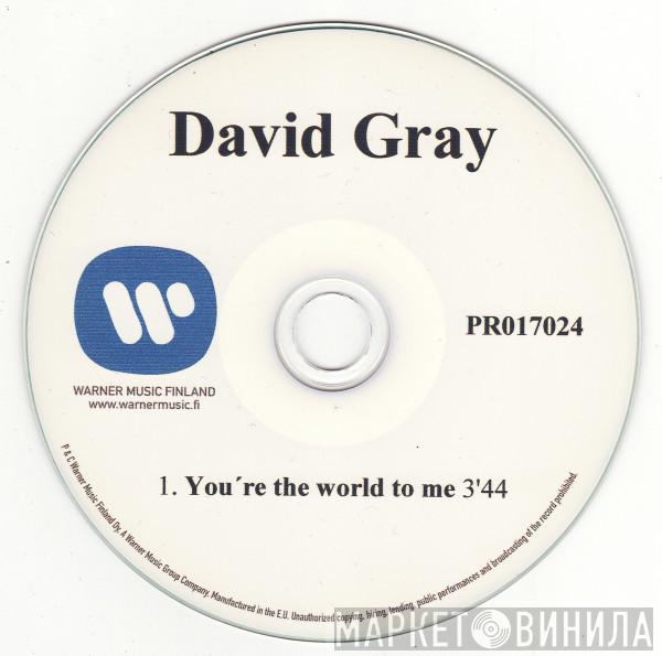 David Gray  - You're The World To Me