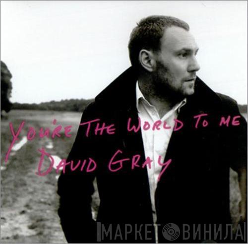  David Gray  - You're The World To Me