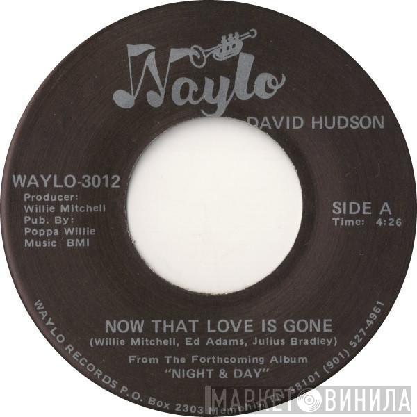 David Hudson  - Now That Love Is Gone