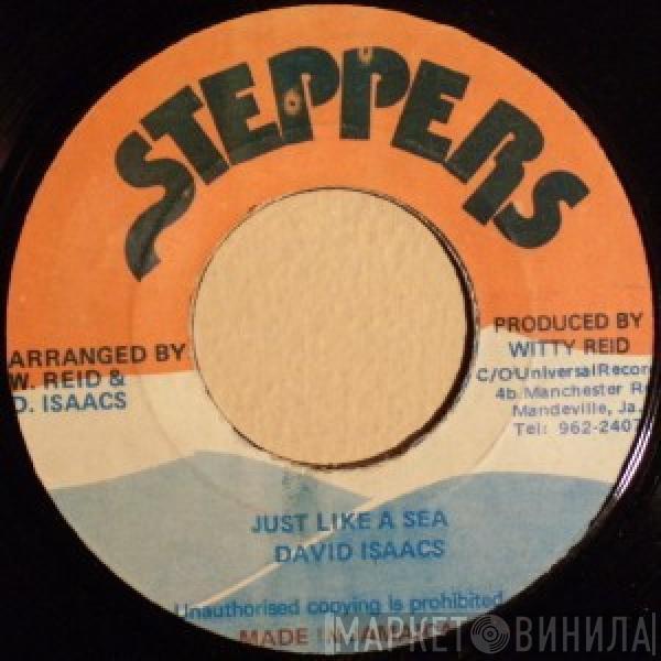 David Isaacs - Just Like A Sea