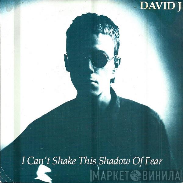 David J - I Can't Shake This Shadow Of Fear