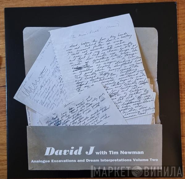 David J, Tim Newman  - Analogue Excavations And Dream Interpretations Volume Two