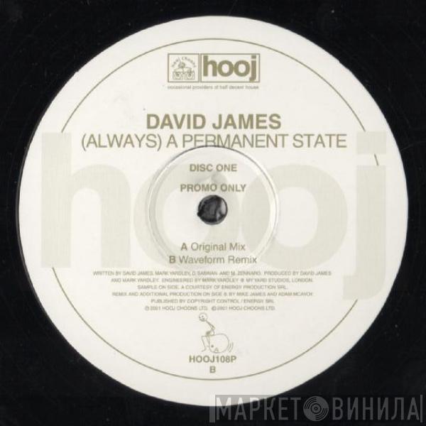 David James - (Always) A Permanent State (Disc One)