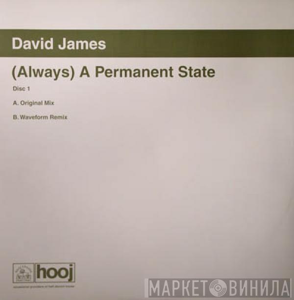 David James - (Always) A Permanent State