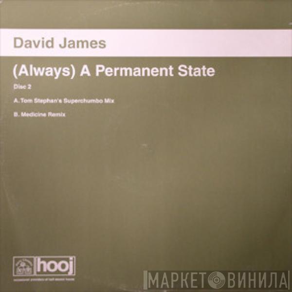 David James - (Always) A Permanent State