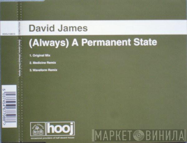 David James - (Always) A Permanent State