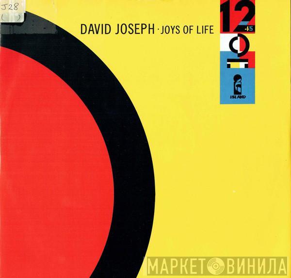 David Joseph - Joys Of Life