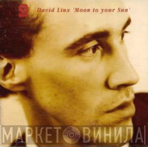 David Linx - Moon To Your Sun