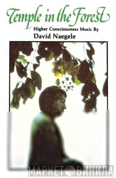  David Naegele  - Temple In The Forest