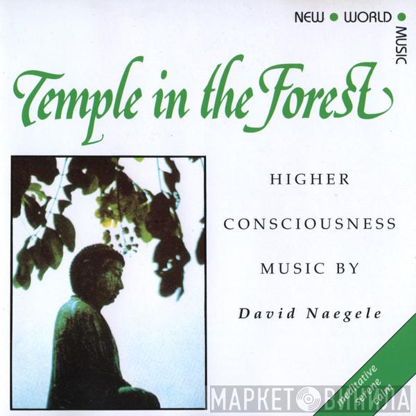 David Naegele - Temple In The Forest