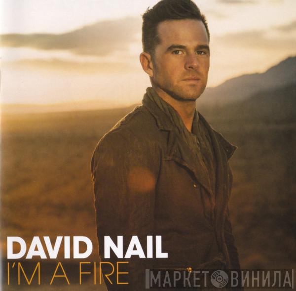 David Nail - I'm A Fire